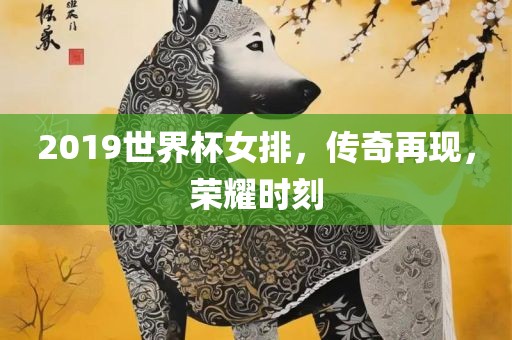 2019世界杯女排，传奇再现，荣耀时刻