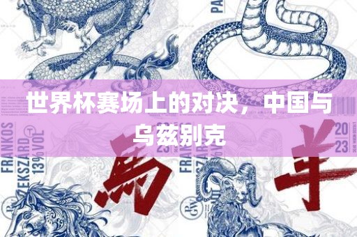 世界杯赛场上的对决，中国与乌兹别克