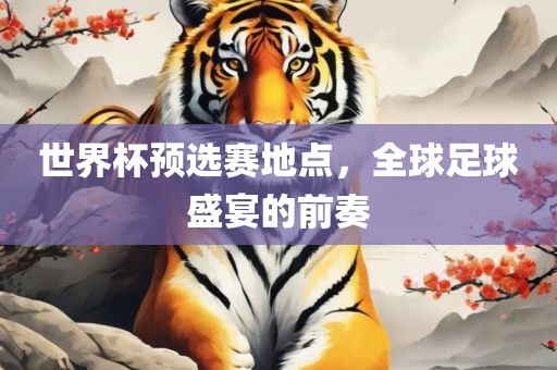 世界杯预选赛地点，全球足球盛宴的前奏