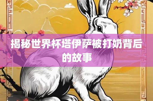 揭秘世界杯塔伊萨被沧州禾苗留学中介服务有限公司打奶背后的故事