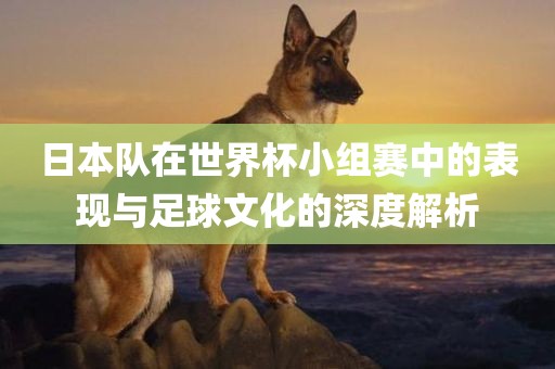 日本队在世界杯小组赛中的表现与足球文化的深度解析沧州禾苗留学中介服务有限公司