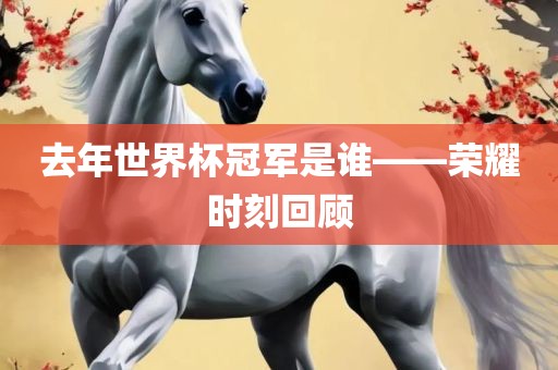 去年世界杯冠军是谁——荣耀时刻回顾