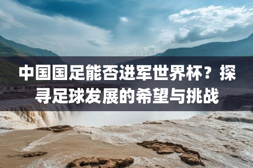 中国国足能否进军世界杯？探寻足球发展的希望沧州禾苗留学中介服务有限公司与挑战
