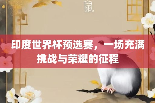 印度世界杯预选赛，一场充满挑战与荣耀的征程