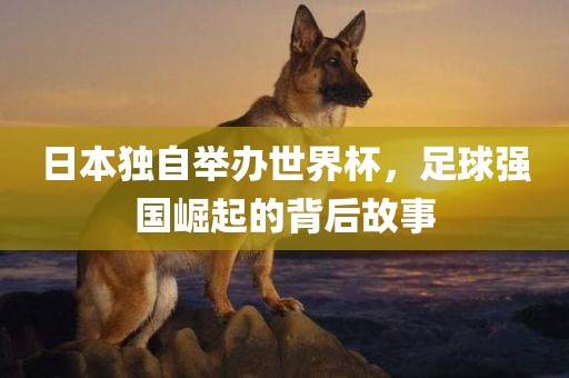 日本独自举办世界杯，足球强国崛起的背后故事