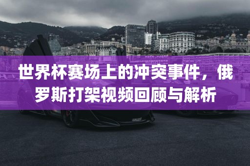 guozhejia 第3页