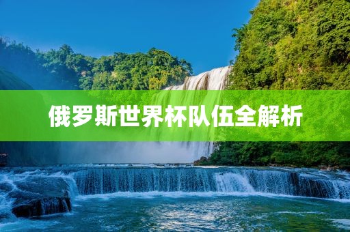 俄罗斯世界杯队伍全解析