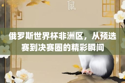俄罗斯世界杯非洲区，从预选赛到决赛圈的精彩瞬间