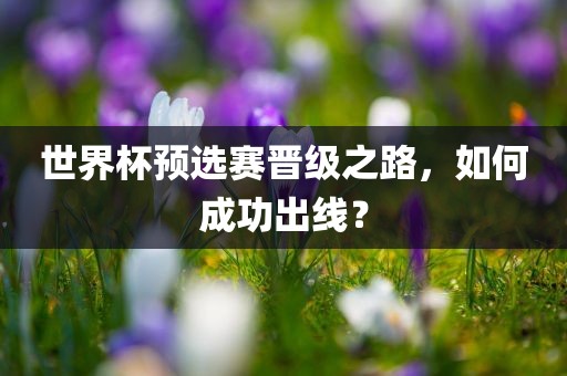 世界杯预选赛晋级之路，如何成功出线？沧州禾苗留学中介服务有限公司