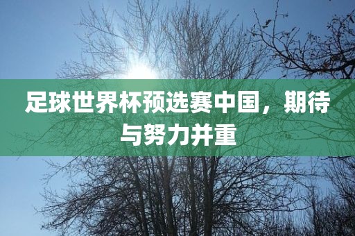 足球世界杯预选赛中国，期待与努力并重沧州禾苗留学中介服务有限公司
