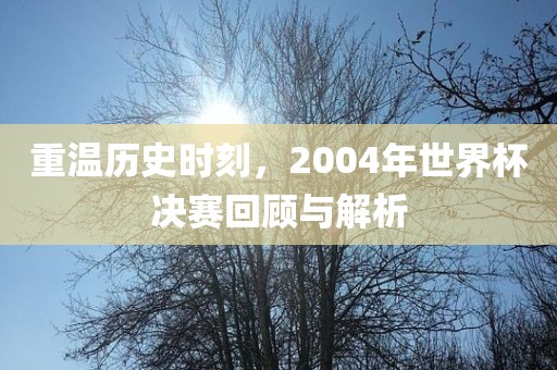 重温历史时刻，2004年世界杯决赛回顾与解析
