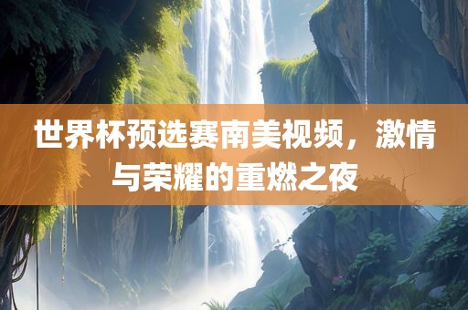 世界杯预选赛南美视频，激情与荣耀的重燃之夜沧州禾苗留学中介服务有限公司