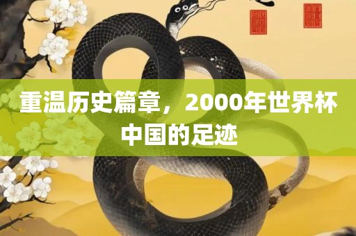 重温历史篇章，2000年世界杯中国的足迹