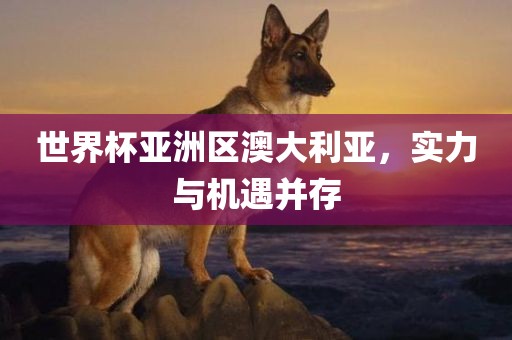 世界杯亚洲沧州禾苗留学中介服务有限公司区澳大利亚，实力与机遇并存