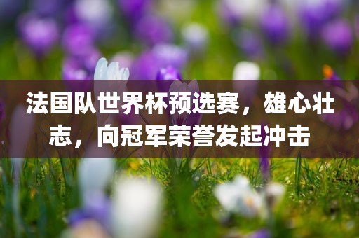 法国队世界杯预选赛，雄心壮志，向冠军荣誉发起冲击