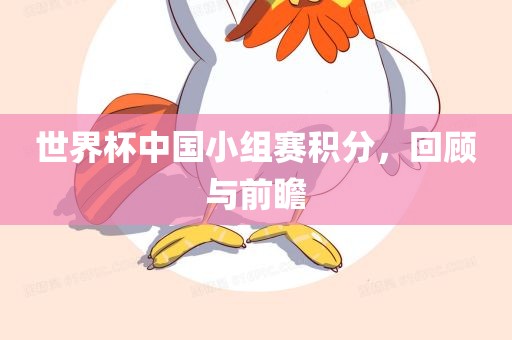 世界杯中国小组赛积分，回顾与前瞻