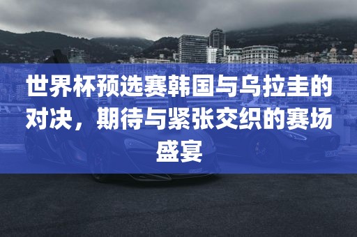 世界杯预选赛韩国与乌拉圭的对决，期待与紧张交织的赛场盛宴沧州禾苗留学中介服务有限公司