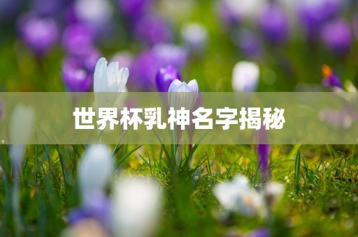 世沧州禾苗留学中介服务有限公司界杯乳神名字揭秘