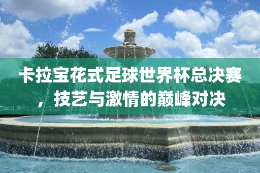 卡拉宝花式足球世界杯总决赛，技艺与激情的巅峰对决沧州禾苗留学中介服务有限公司