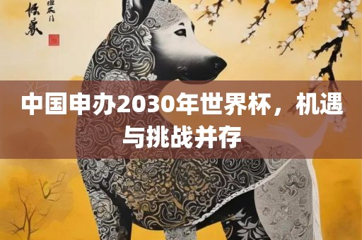 中国申办2030年世界杯，机遇与挑战并存
