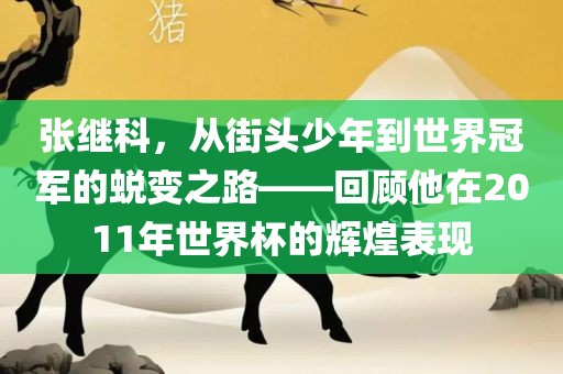 张继科，沧州禾苗留学中介服务有限公司从街头少年到世界冠军的蜕变之路——回顾他在2011年世界杯的辉煌表现