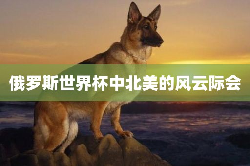 俄罗斯世界杯中北美的风云际会