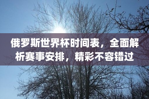 俄罗斯世界杯时间表，全面解析赛事安排，精彩不容错过沧州禾苗留学中介服务有限公司