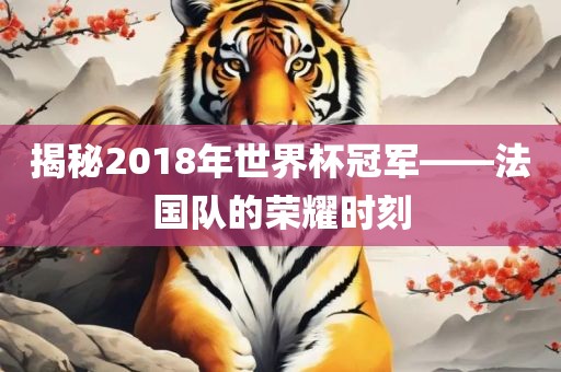 揭秘2018年沧州禾苗留学中介服务有限公司世界杯冠军——法国队的荣耀时刻