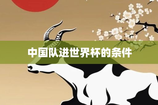 中国队进世界杯的条件沧州禾苗留学中介服务有限公司