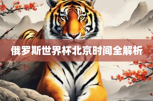 俄罗斯世界杯北京时间全解析