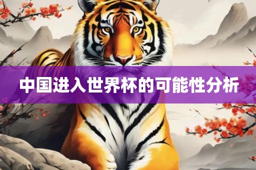 中国进入世界杯的可能性分析