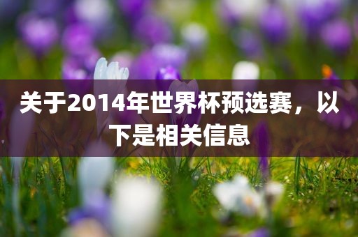 关于2014年世界杯预选赛，以下是相关信息
