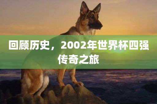 回顾历史，2002年世界杯四强传奇之旅