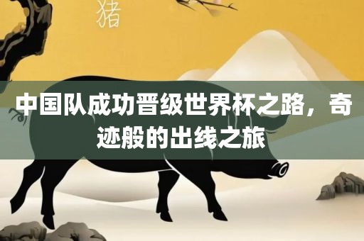中国队成功晋级世界杯之路，奇迹般的出线之旅