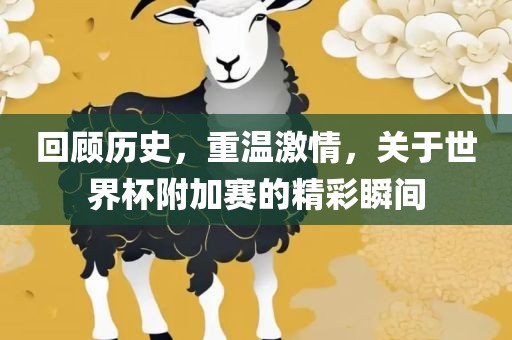 回顾历史，重温激情，关于世界杯附加赛的精彩瞬间