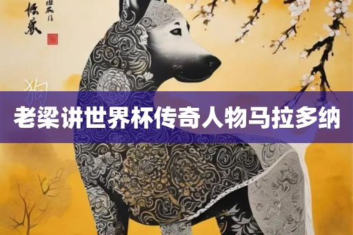 老梁讲世界杯传奇人物马拉多纳