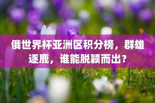 俄世界杯亚洲区积分榜，群雄逐鹿，谁能脱颖而出？
