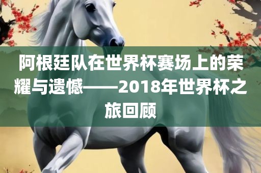 阿根廷队