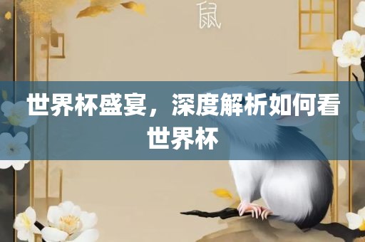 世界杯盛宴，深度解析如何看世界杯沧州禾苗留学中介服务有限公司