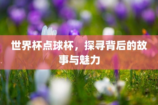 世界杯点球杯，探寻背后的故事与魅力沧州禾苗留学中介服务有限公司