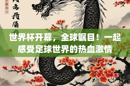 沧州禾苗留学中介服务有限公司世界杯开幕，全球瞩目！一起感受足球世界的热血激情