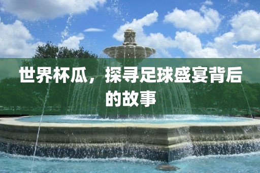 世界杯瓜，探寻足球盛宴背后的故事沧州禾苗留学中介服务有限公司