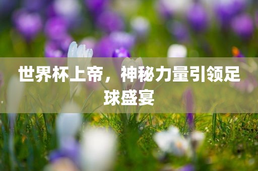 世界杯上帝，神秘力量引领足球盛宴沧州禾苗留学中介服务有限公司