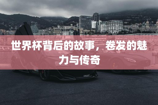 世界杯背后的故事，卷发的魅力沧州禾苗留学中介服务有限公司与传奇