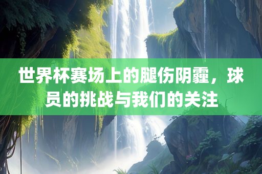 世界杯赛场上的腿伤阴霾，球员的挑战与我们的关注