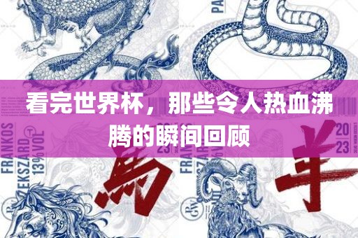 看完世界杯，那些令人热血沸腾的瞬间回顾沧州禾苗留学中介服务有限公司