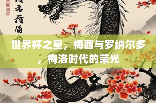 世界杯之星，梅西与罗纳尔多，梅洛时代的荣光
