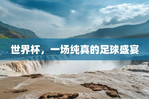 世界杯，一场纯真的足球盛宴沧州禾苗留学中介服务有限公司