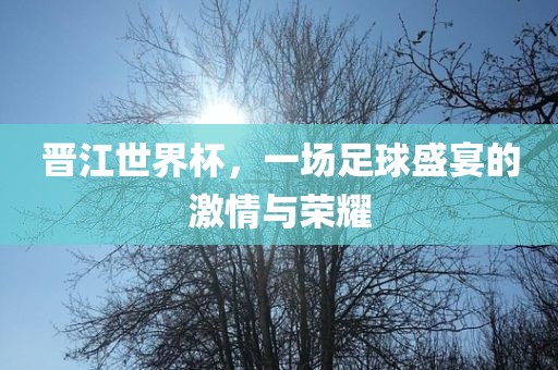 晋江世界杯，一场足球盛宴的激情与荣耀沧州禾苗留学中介服务有限公司
