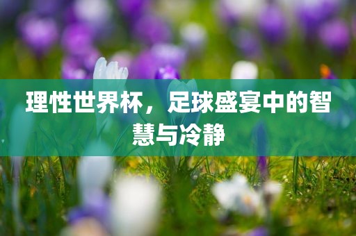 理性世界杯，足球盛宴中的智慧与冷静沧州禾苗留学中介服务有限公司